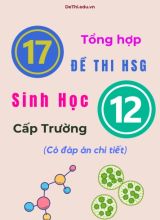 Tổng hợp 17 đề thi HSG Sinh học Lớp 12 cấp Trường (Có đáp án chi tiết)